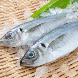 水産（鮮魚・水産加工品等）